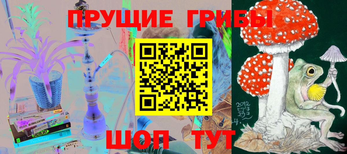 Россия  Псилоцибиновые грибы Psilocybine cubensis  Вход с VPN 