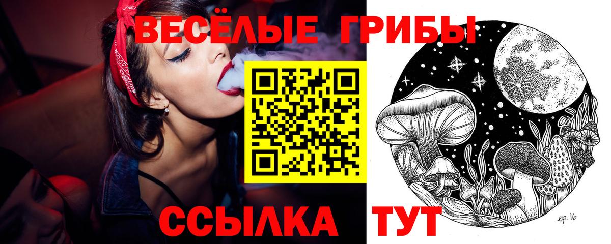 Псилоцибиновые грибы прущие грибы Россия