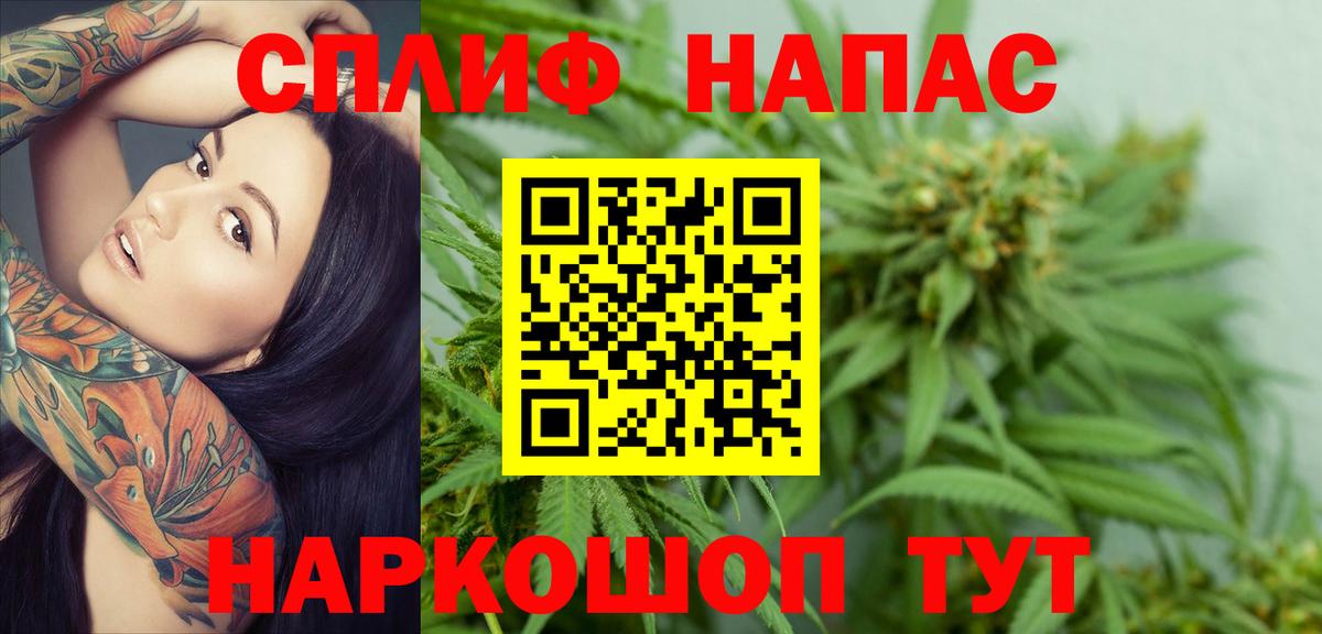 Бошки Шишки конопля  Конопля конопля  Бошки марихуана тримм  Каннабис планчик  Россия  Вход с VPN 